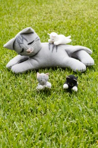 Having Kittens