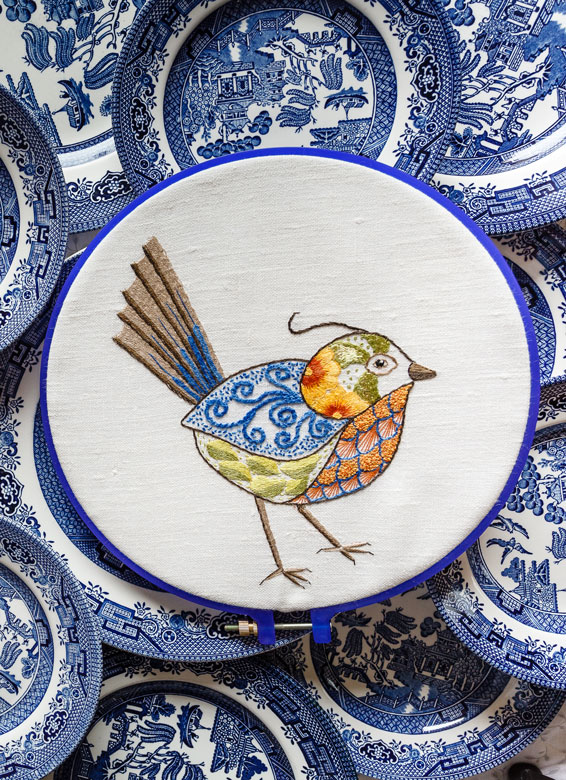 Dishy-Bird
