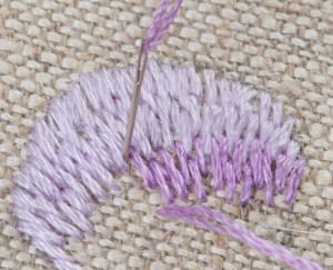 Long and short stitch pic