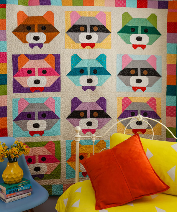 Raccoon