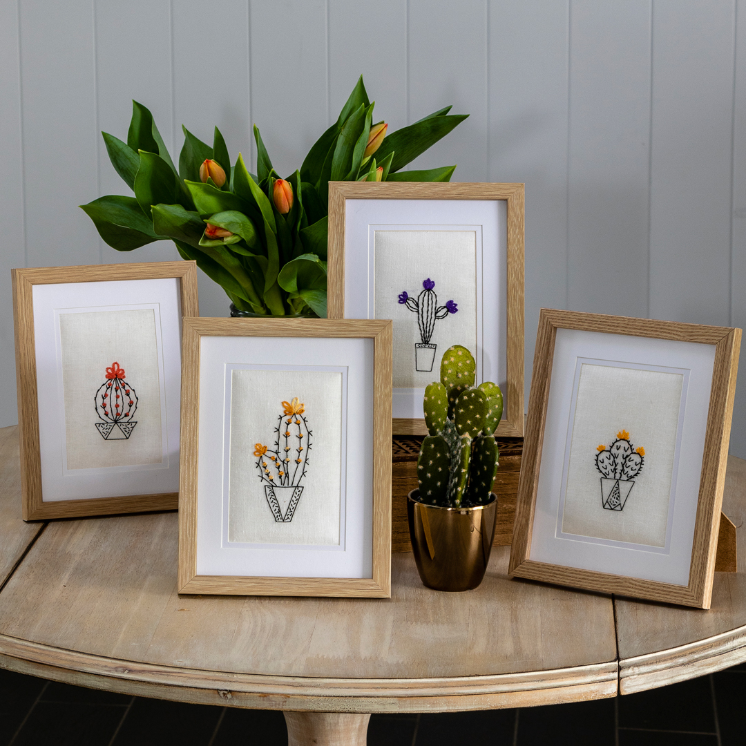 Four Cacti