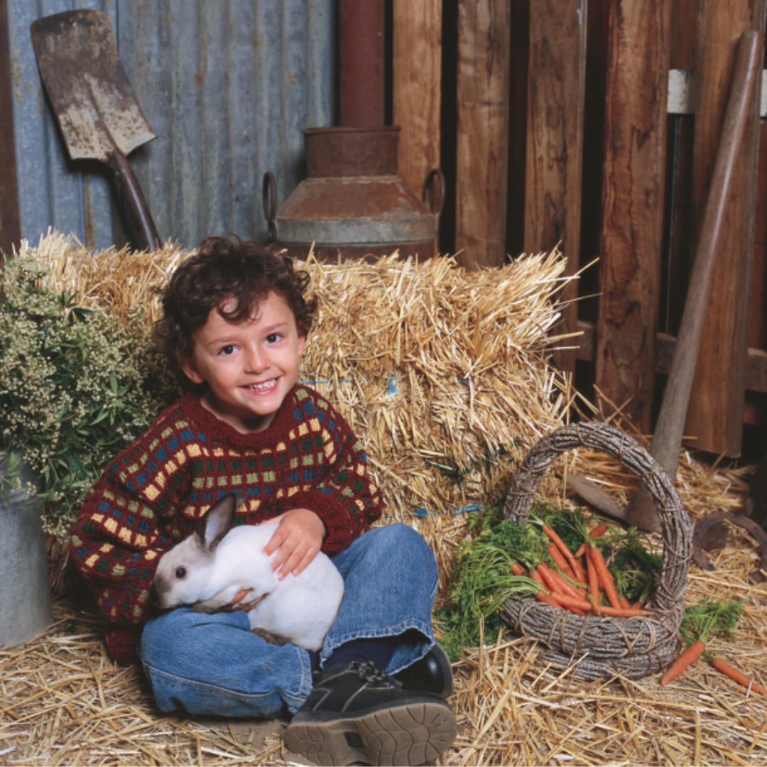 Country Playtime Jumper
