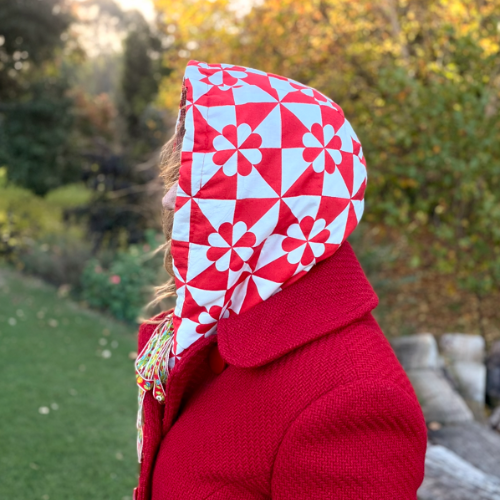 Hsp2704 Companion Hood